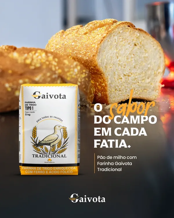 Post da Gaivota